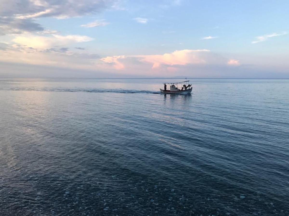 Olympus Beach Aigani Family House Екстер'єр фото
